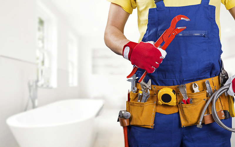 Oliven?l aus eigenem Anbau